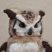 ルドじぃ