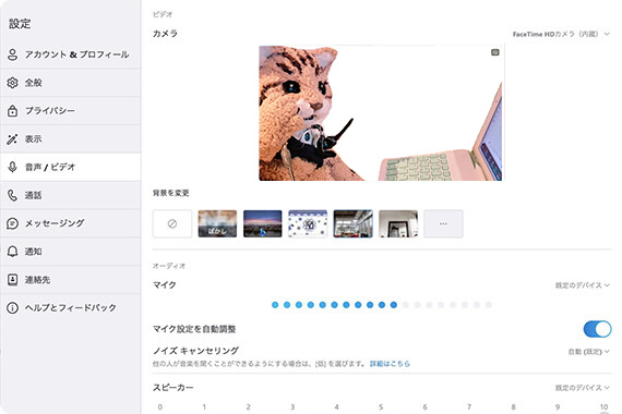 レッスン前にビデオとマイクのチェック